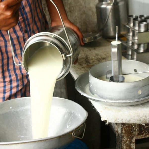 0.98328200_1508333683_milk-production
